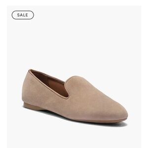 Birdies- The Starling in Latte